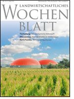 Ausgabe 19/2013