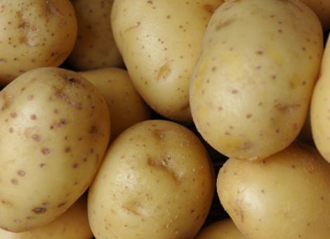 Preisabsprachen in der Kartoffelbranche?