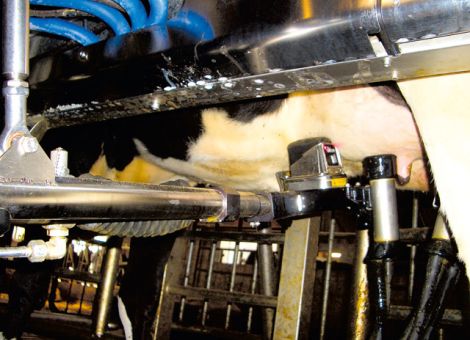 Internationaler Tag der Milch 