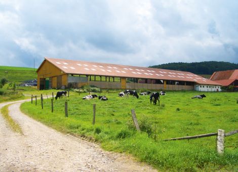Wo liegt bei der Milch das Optimum?
