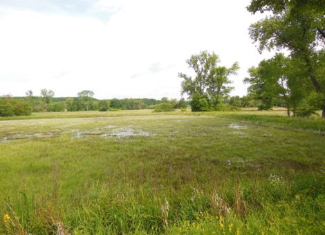 Hochwasserschäden in landwirtschaftlichen Betrieben 