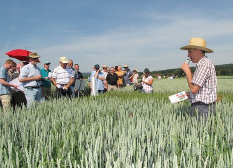 Saatgutvermehrung auch auf rekultivierten Flächen