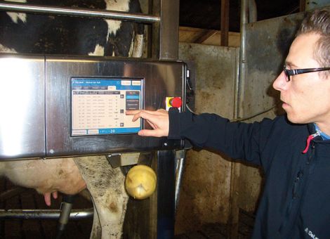 Fünf Prozent mehr Milch führen zum Preisverfall