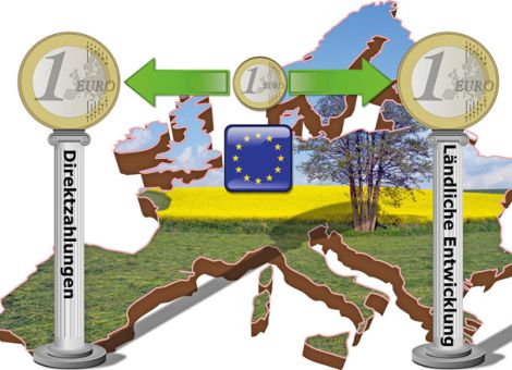 Politische Einigung über EU-Agrarreform erzielt