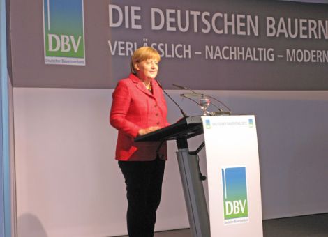 Bekenntnis zur Tierhaltung und Exportorientierung