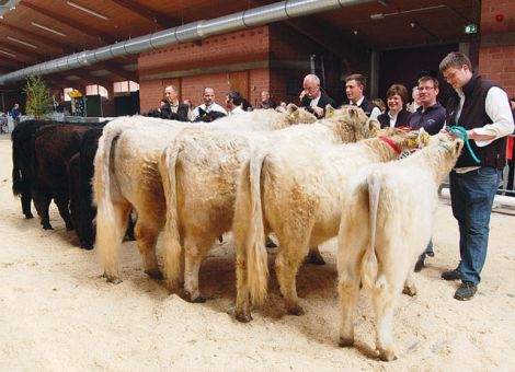 Die Besten der Galloway-Open