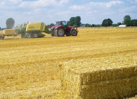 Stroh abfahren oder einarbeiten?