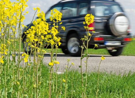 EP-Umweltausschuss für Begrenzung von Biosprit