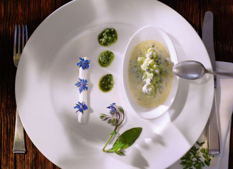 Gurken-Borretschkaltschale 