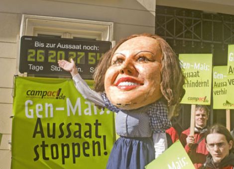 Monsanto zieht Neuanträge für GVO-Zulassungen zurück
