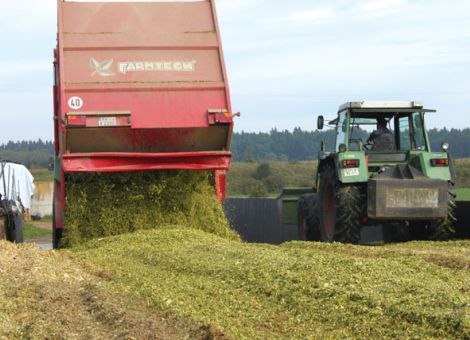Die perfekte Maissilage