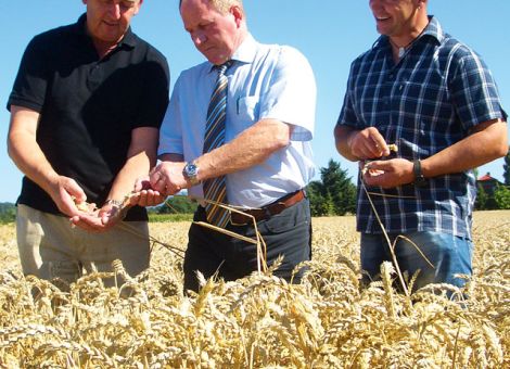 Bauern sehen Hitzewelle positiv für die Abreife des Getreides