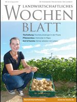 Ausgabe 32/2013 Ausgabe 32/2013