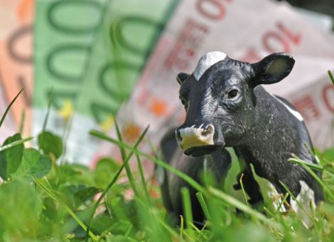 Starke Mengen- und Preisschwankungen 2012
