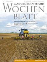 Ausgabe 37/2013 Ausgabe 37/2013