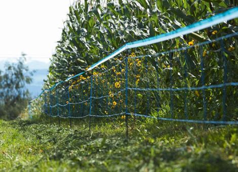 Verhüten geht vor Vergüten