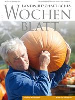 Ausgabe 39/2013 Ausgabe 39/2013