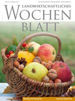 Ausgabe 40/2013 Ausgabe 40/2013