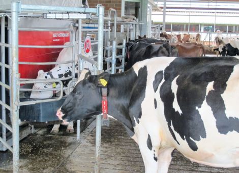 Das Melksystem muss rundlaufen