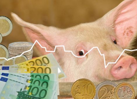 Zusätzliches Geld für mehr Tierwohl?