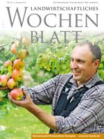 Ausgabe 42/2013 Ausgabe 42/2013