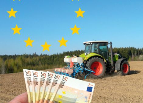 Kürzung fällt spürbar geringer aus