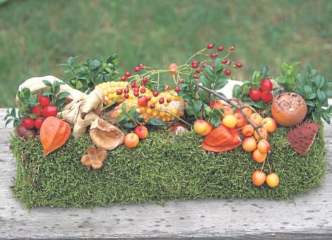 Früchte des Herbstes