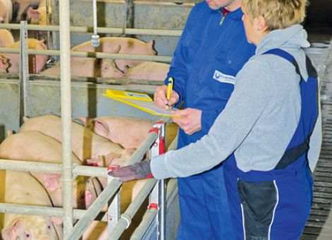 Initiative Tierwohl auf dem Weg