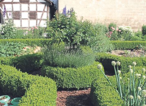 Gehölze im Bauerngarten