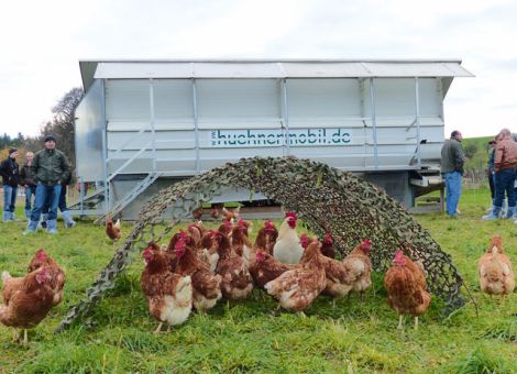 Wohnmobil für Hühner