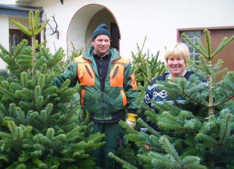 Der Tannenbaum aus dem Taunus