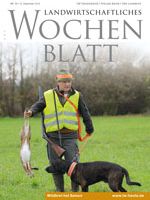 Ausgabe 50/2013 Ausgabe 50/2013