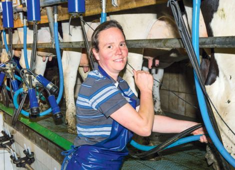 Fast 8 000 kg Milch in Hessen