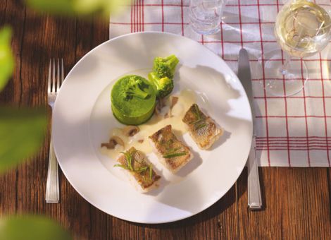 Gebratener Zander mit feinem Brokkolipüree 