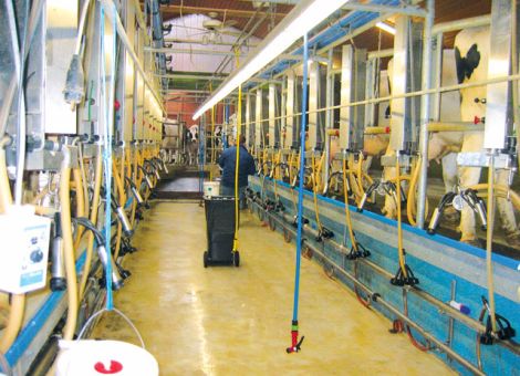 AMS und konventionelle Melktechnik unter der Lupe