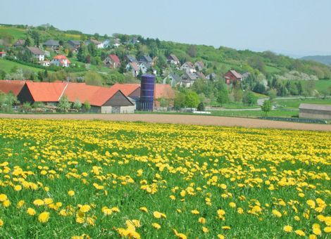 Prämienzuschlag für die ersten Hektare beschlossen