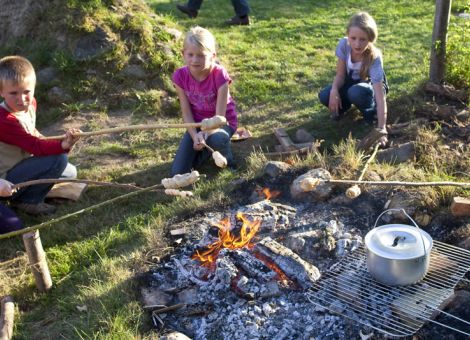 Drei Ferienhäuser auf dem Talhof