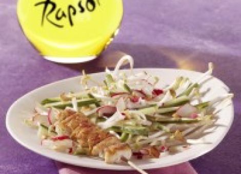 Gurken-Sprossen-Salat mit Hähnchenspießen