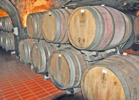 Brettanomyces – das Spiel mit dem Feuer