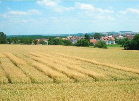 Liederbacher Ackerbautag