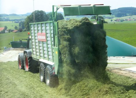 Welches Siliermittel einsetzen?