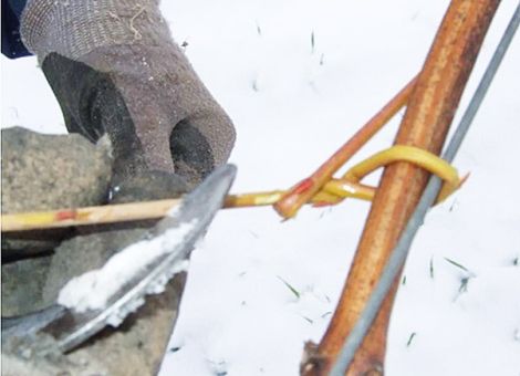 Feste Bindung für ein Jahr