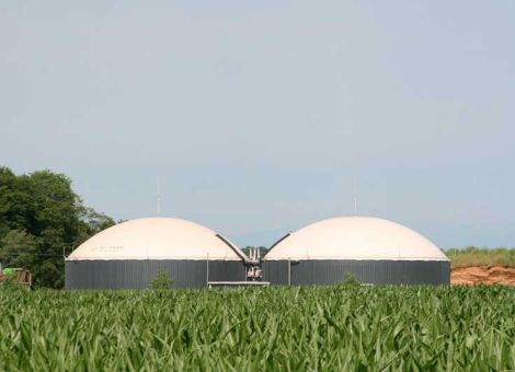 Studie bescheinigt Biogas hohes Klimaschutzpotenzial
