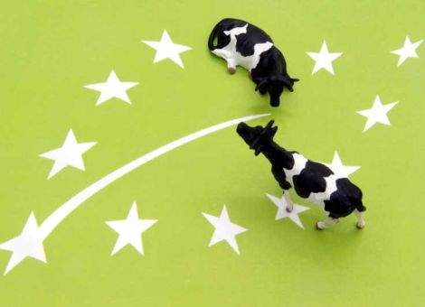EU will Ökoverordnung verschärfen