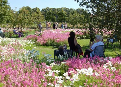 Ausflugstipp zur Landesgartenschau