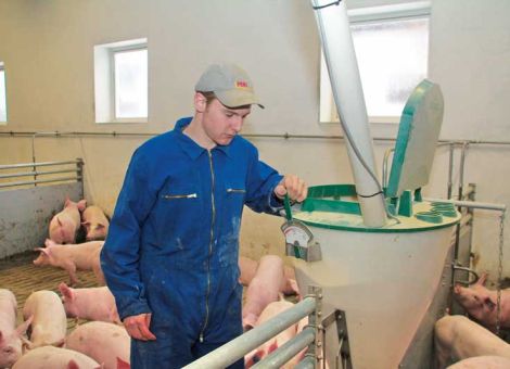 Den richtigen Breiautomaten finden