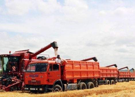 Getreidekammer Ukraine in der Krise