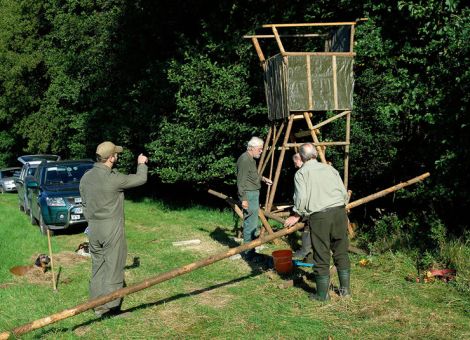 Die perfekte Jagdkanzel bauen