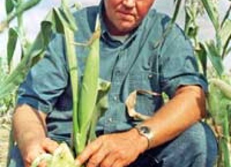 Künftig weniger Mais aus dem Cornbelt?