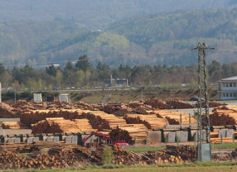 Deutsches Holz zu teuer für Säge- und Holzindustrie